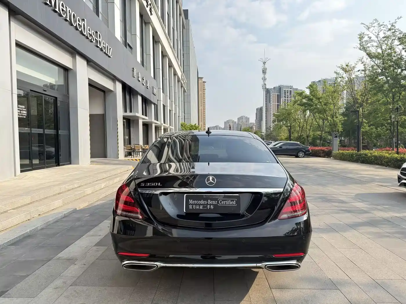 Mercedes-Benz S-Class 2020 S 350 L Premium Edition Collector's Version фото 10