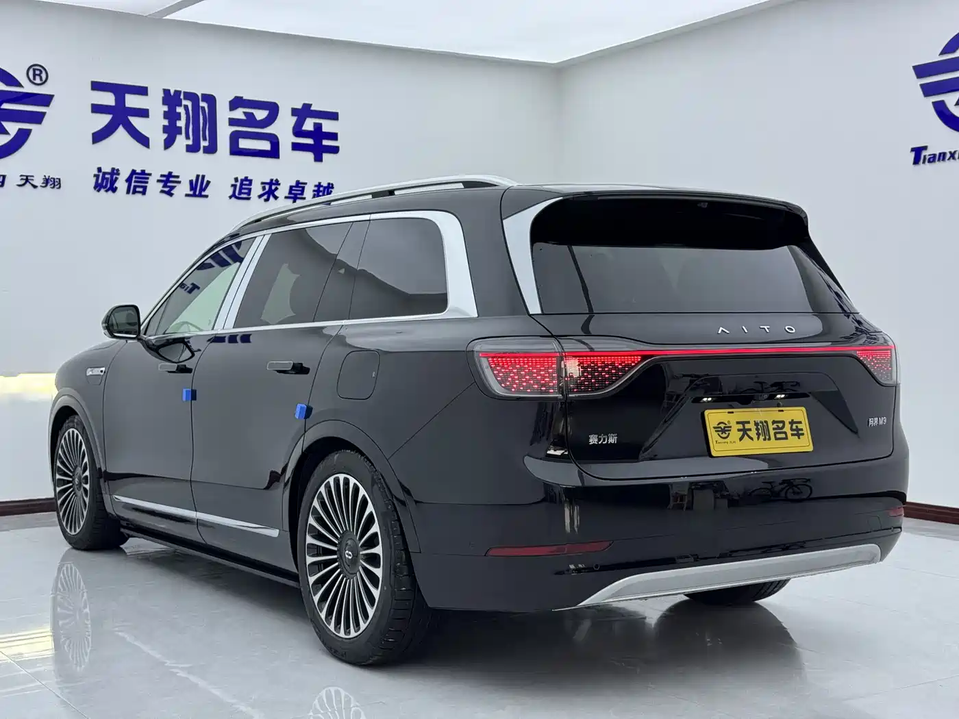 AITO Wenjie AITO M9 2024 Range Extender Max Edition 42kWh 6-seater фото 26