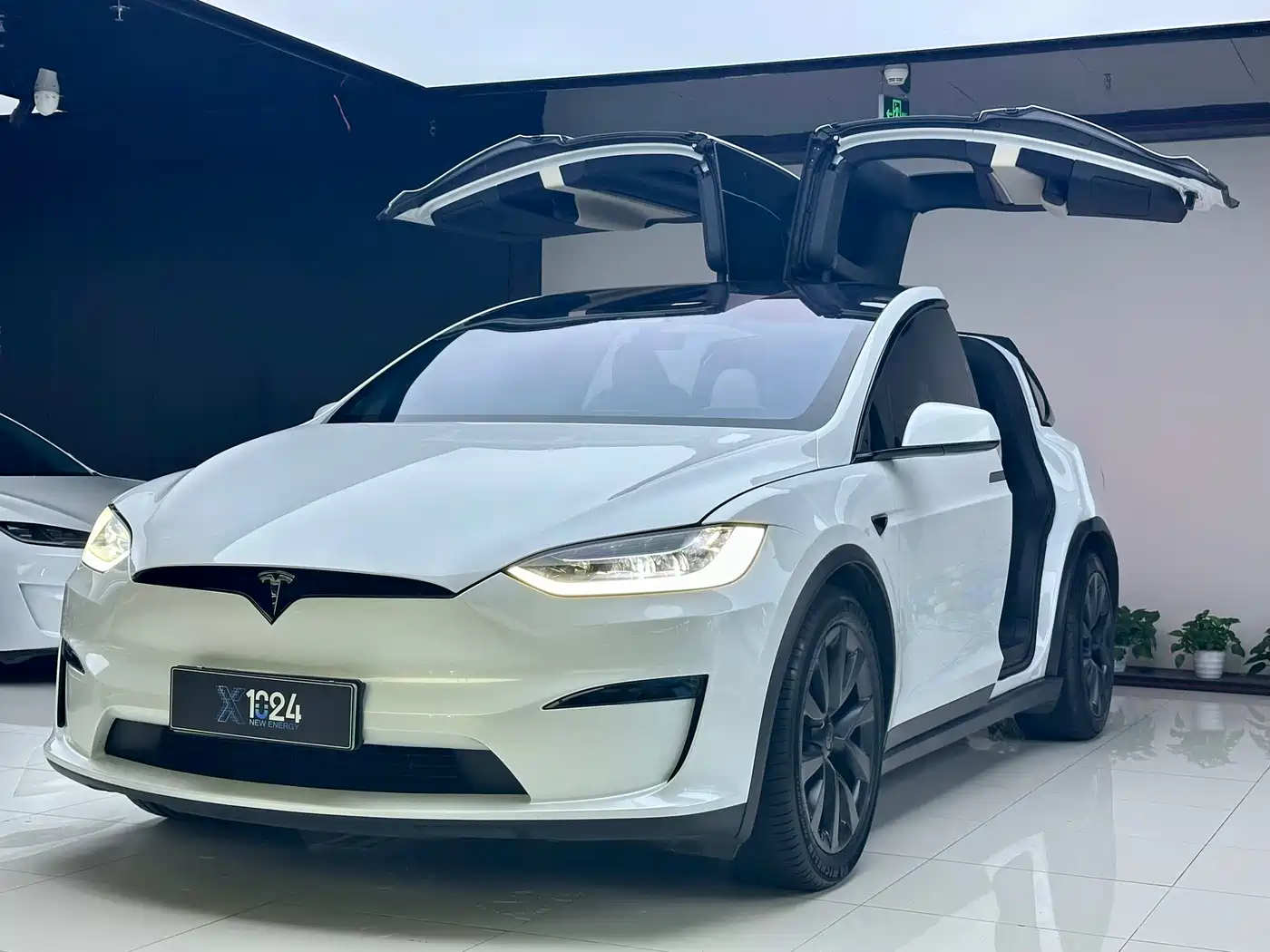 Tesla Model X 2023 Dual Motor All-Wheel Drive Edition
