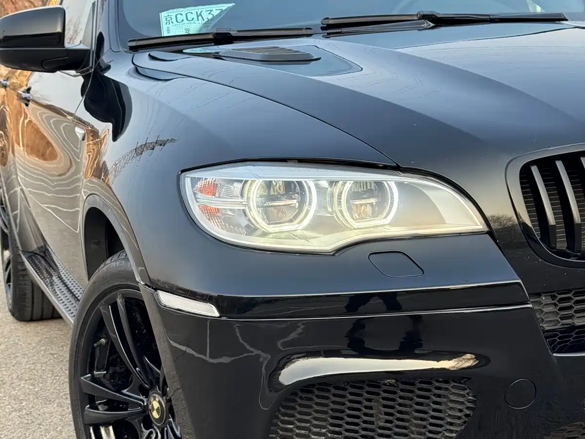 BMW X6 2013 xDrive35i фото 8