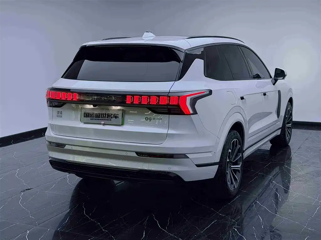 Lynk & Co 09 EM-P 2023 2.0TD EM-P Long Range PM 6-Seater фото 4