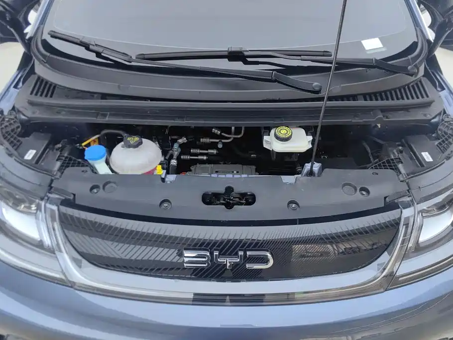 BYD Dolphin 2026 2025 420km Freedom Edition