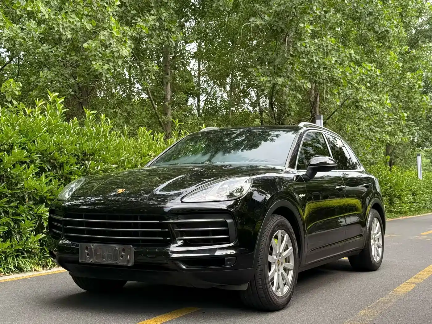 Porsche Cayenne New Energy 2019 Cayenne E-Hybrid 2.0T