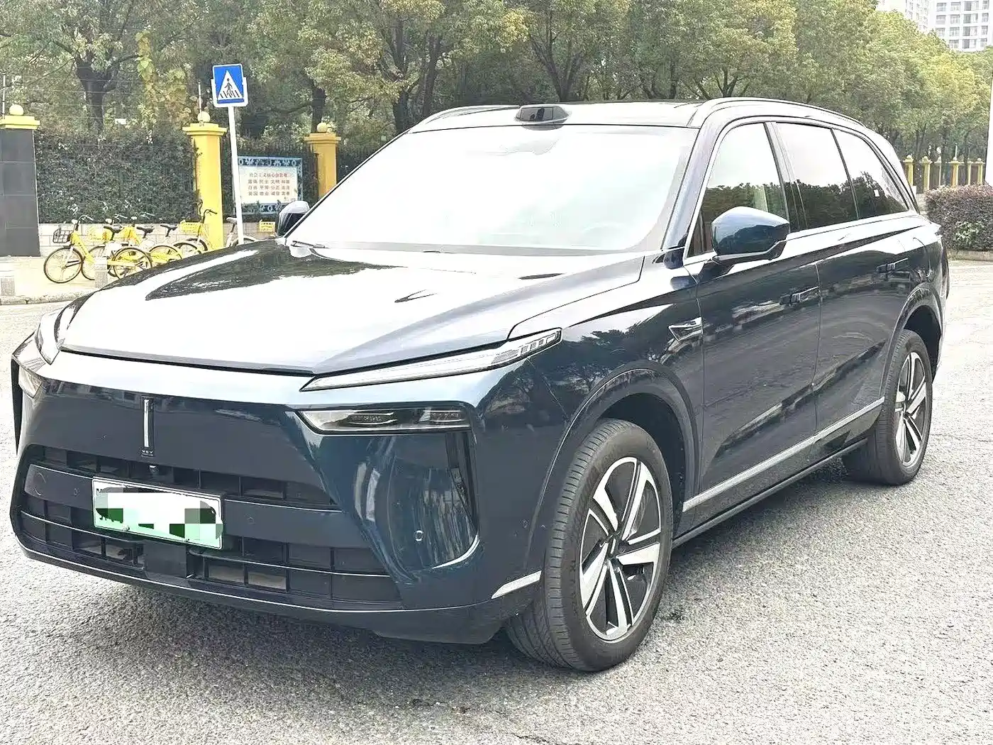 WEI PAI WEI BRAND BLUE MOUNTAIN