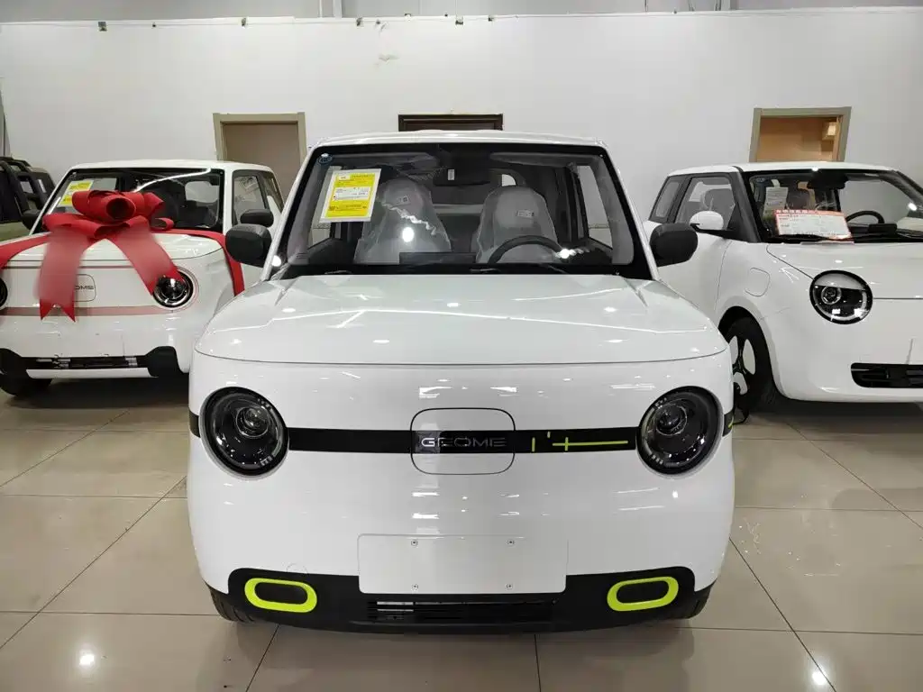Geely Galaxy Panda 2026 2025 Panda mini 210km Vitality Bear