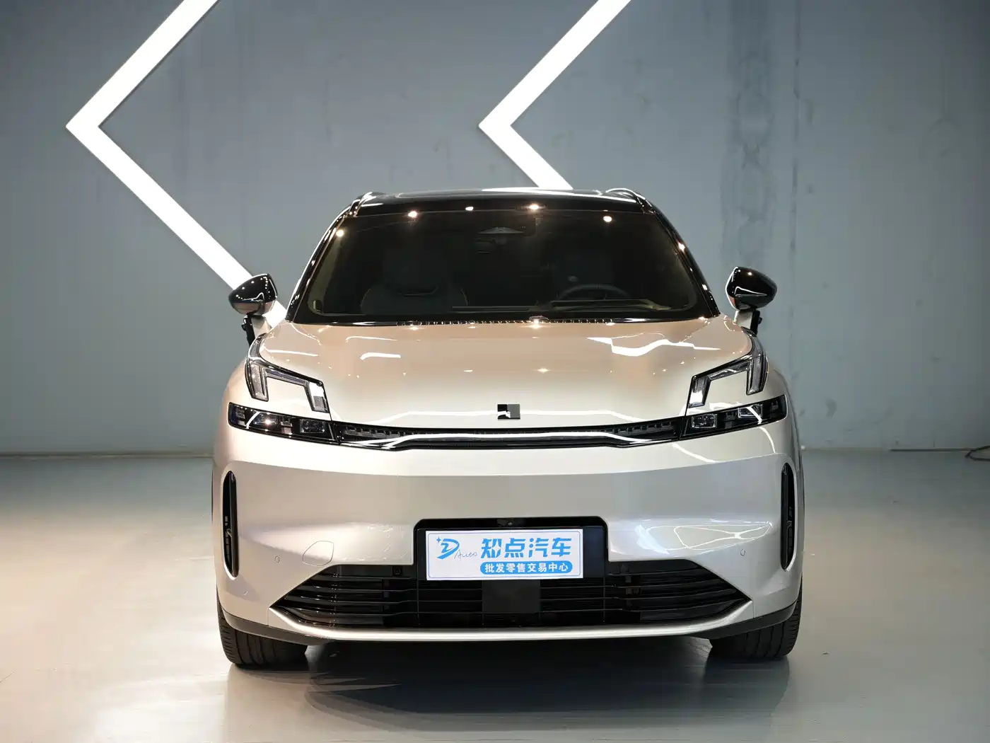 Lynk & Co 08 EM-P 2023 220km 4WD Performance Halo фото 2