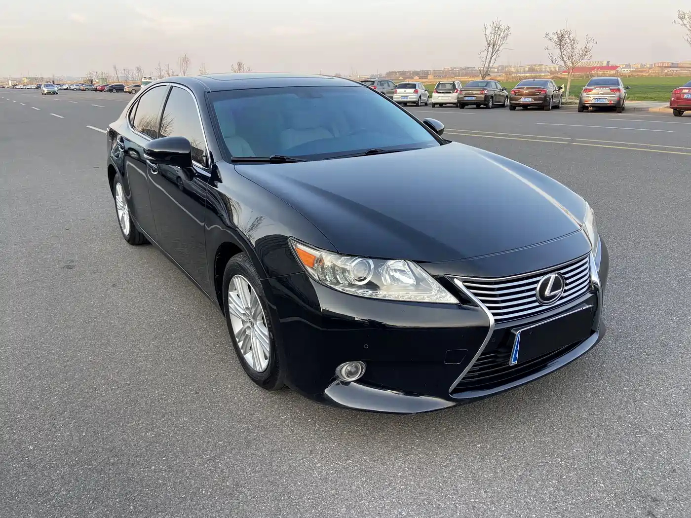 Lexus ES 2013 250 Luxury Edition фото 3