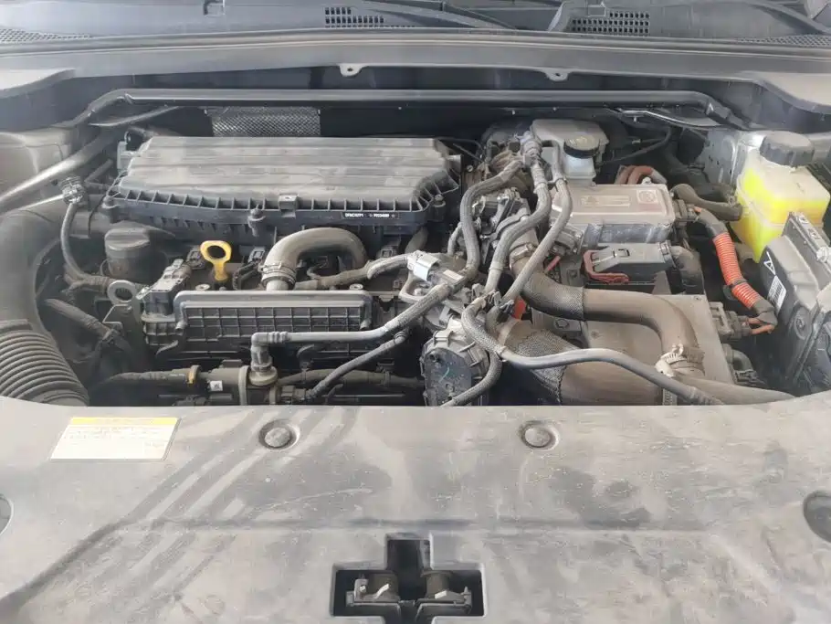 Dongfeng Aeolus Haohan 2024 2023 DH-i 1.5T Flagship Edition