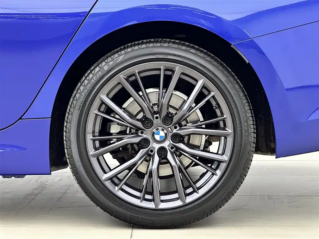 BMW 3 Series 2020 325Li M Sport Black Night Package фото 17
