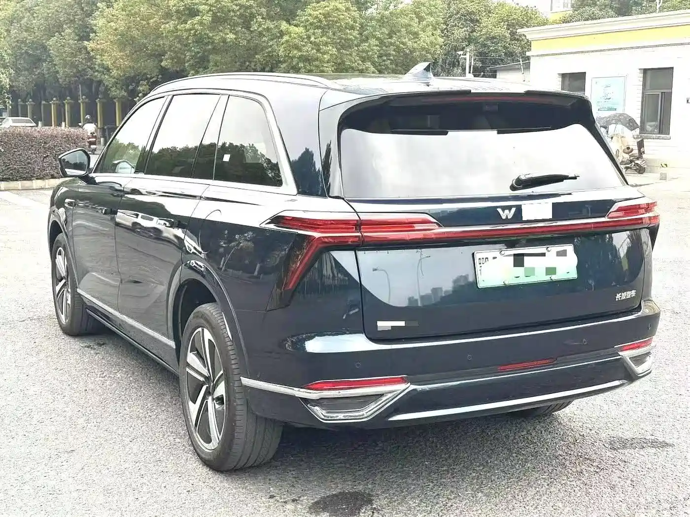 WEI PAI WEI BRAND BLUE MOUNTAIN