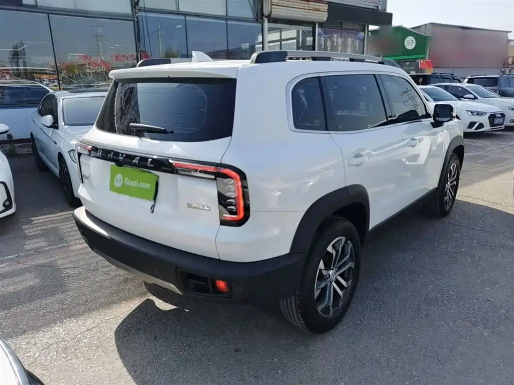 Haval Big Dog 2022 1.5T DCT FWD Border Collie Edition фото 7