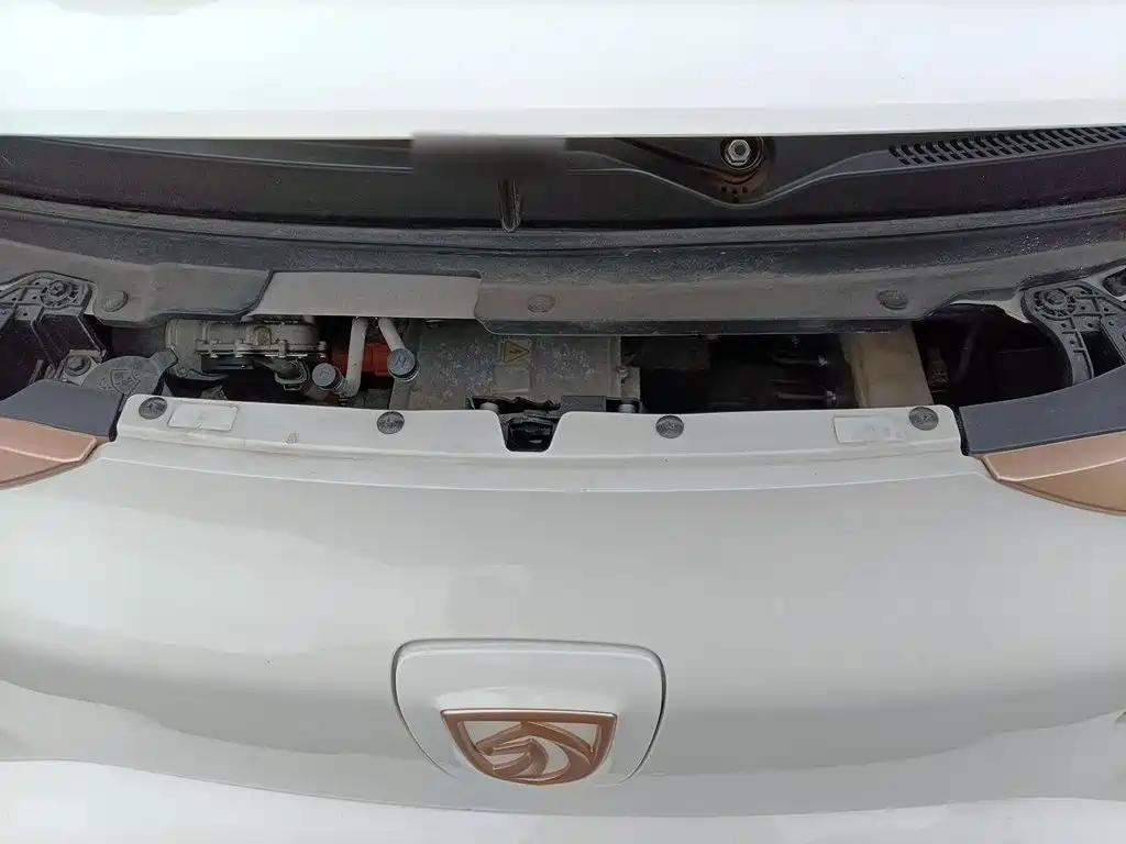 Baojun E200 2021 2020 305KM Smart Edition
