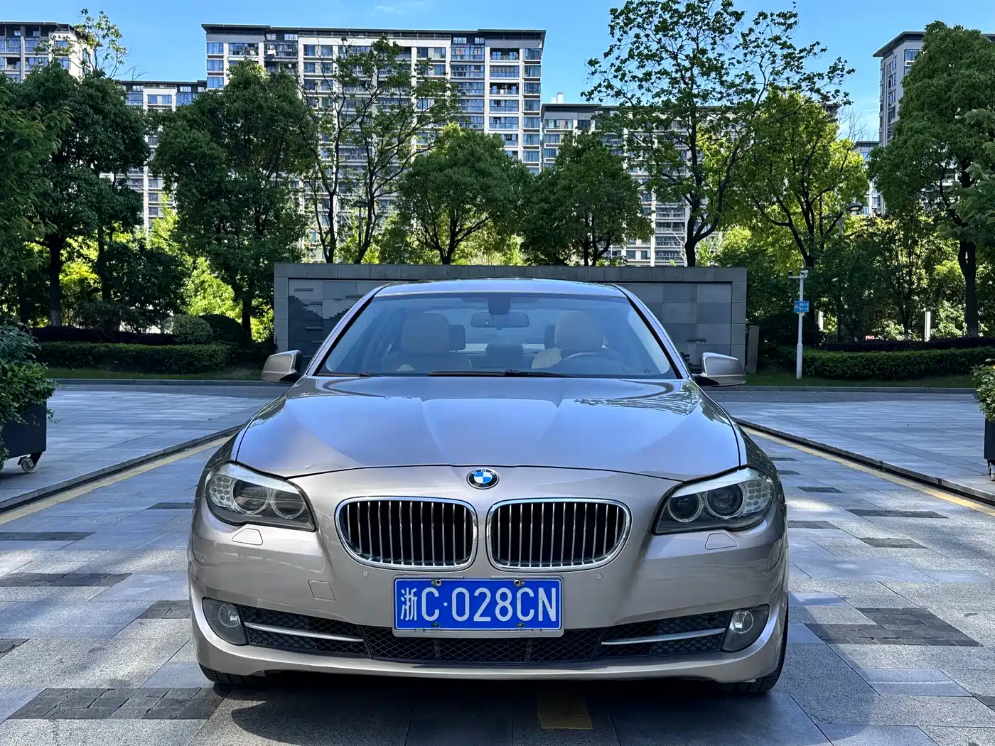 BMW 5 Series 2013 530Li Leadership фото 2