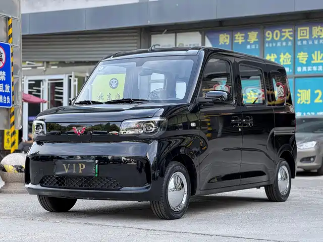  Wuling Motors Wuling Zhiguang NEV 2025 Standard Version