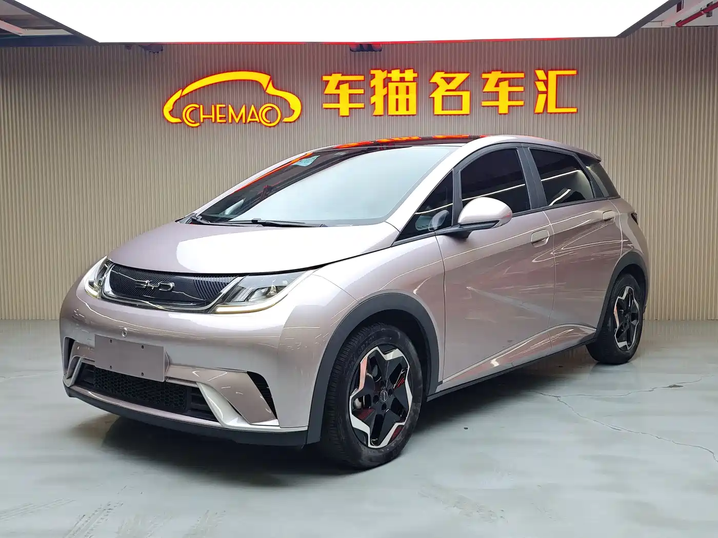 BYD Dolphin 2021 Model 405km Fashion Edition