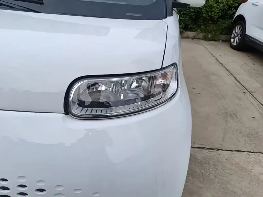 Ora White Cat 2021 2020 305km Luxury