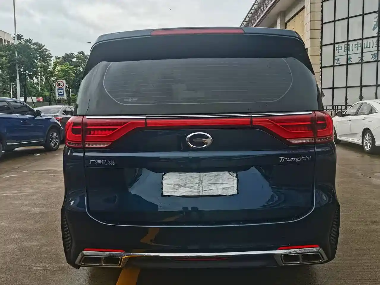 GAC Trumpchi Trumpchi M8 2020 Pilot 390T Prestige Edition фото 6