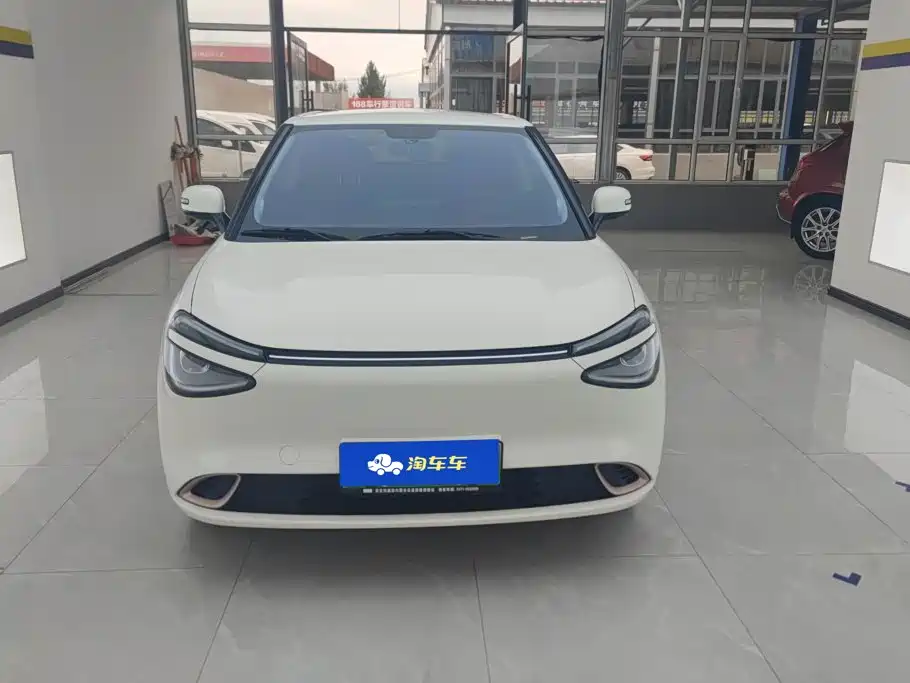 Dongfeng Yipai Nano 01 2025 2024 Renewal Edition 330 Air