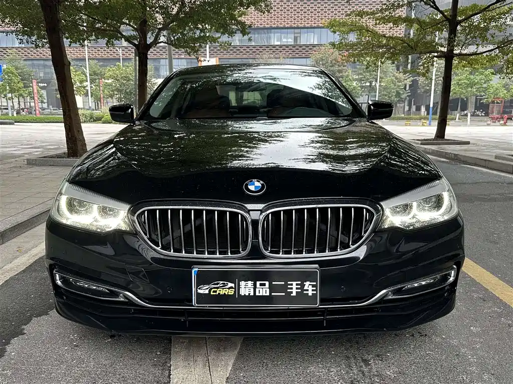 BMW 5 Series 2018 528Li Launch Special Edition фото 2