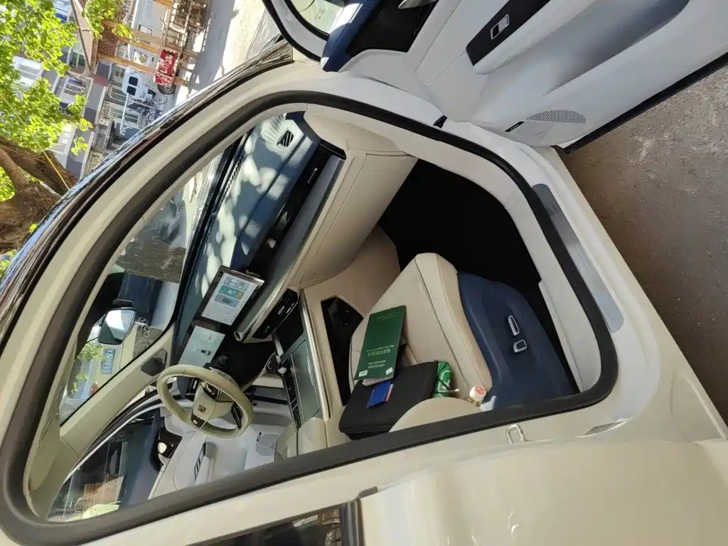 Roewe Whale 2022 2022 2.0T Blue Whale Edition