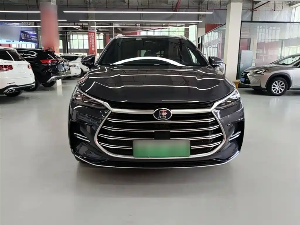 BYD Tang New Energy 2021 DM-i 112KM Honor фото 3