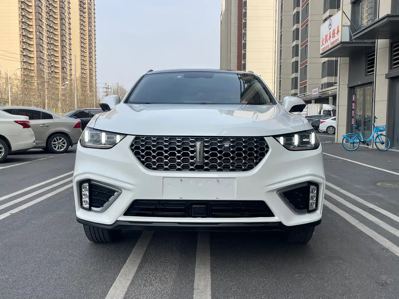 WEI PAI WEI BRAND VV5