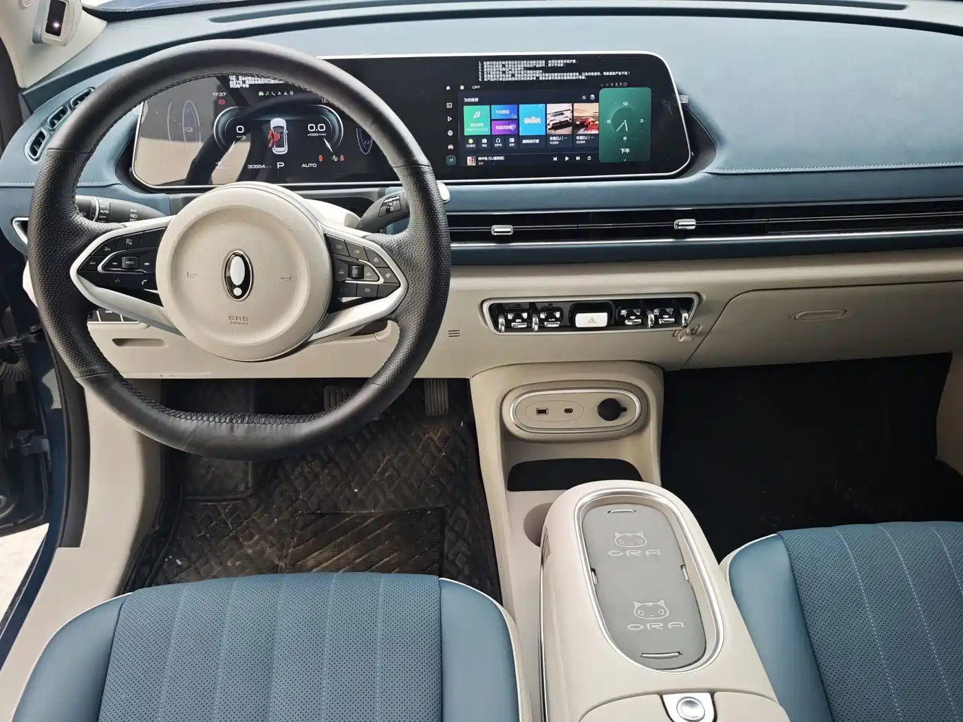 Ora Good Cat 2024 2023 401km Standard Range Honor Edition (LFP)