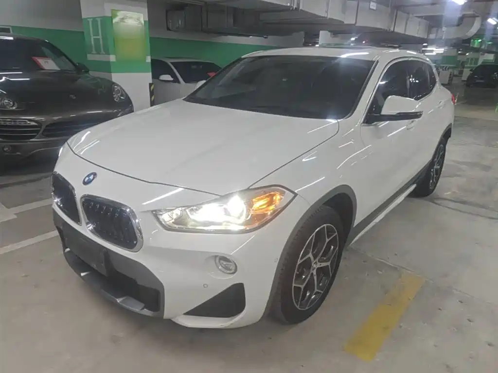 BMW X2 (Import) 2019 sDrive20i M Off-Road Package China VI фото 2