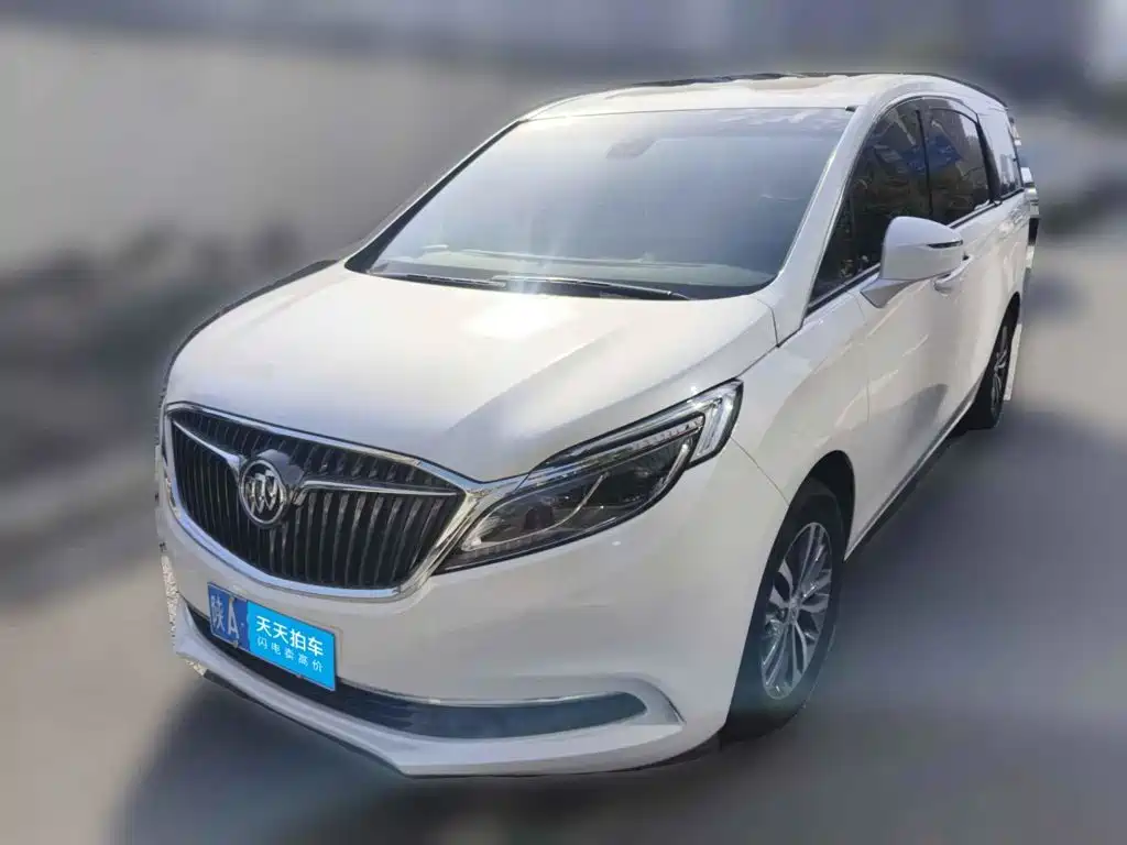 Фото 1 - Buick GL8