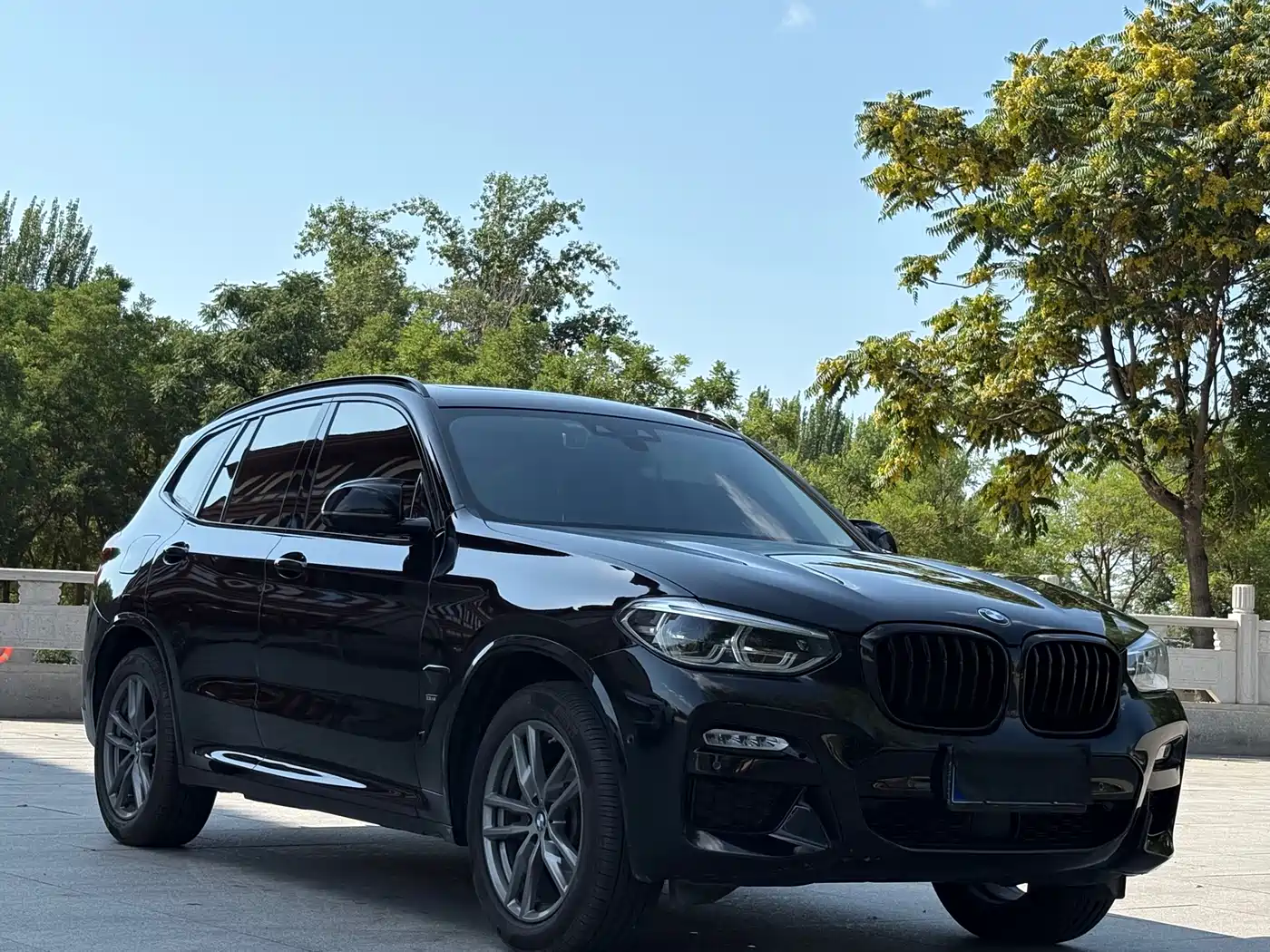 BMW X3 2018 xDrive30i Leading M Sport Package China V
