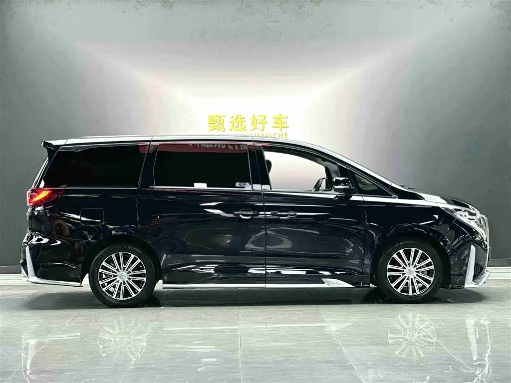 GAC Trumpchi Trumpchi M8 2021 Leading Show Series 390T Ultimate Edition фото 8