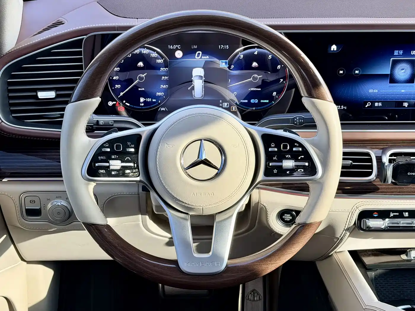 Mercedes-Benz Maybach GLS 2021 GLS 480 4MATIC фото 16