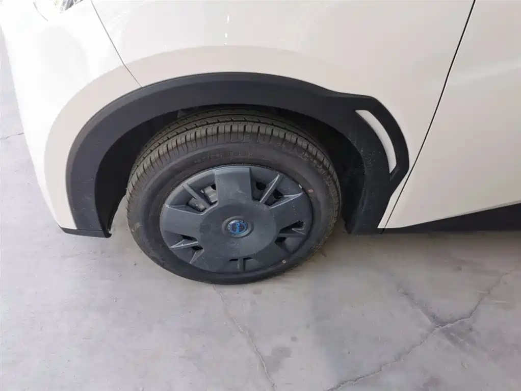 BYD Seagull 2025 Smart Drive Edition 305km Vitality Version фото 23
