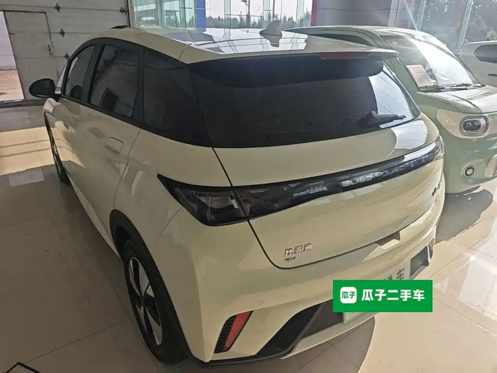 Фото 5 - BYD Dolphin