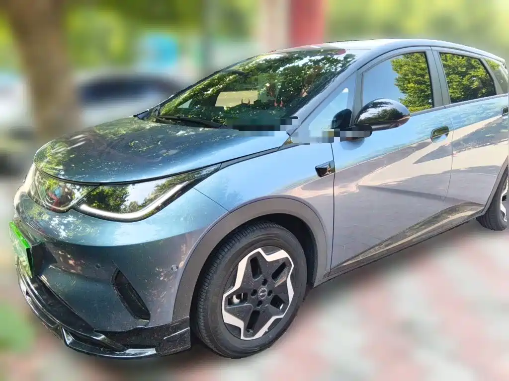 2026 BYD Dolphin