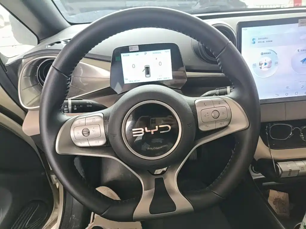 BYD Dolphin 2026 2025 420km Freedom Edition