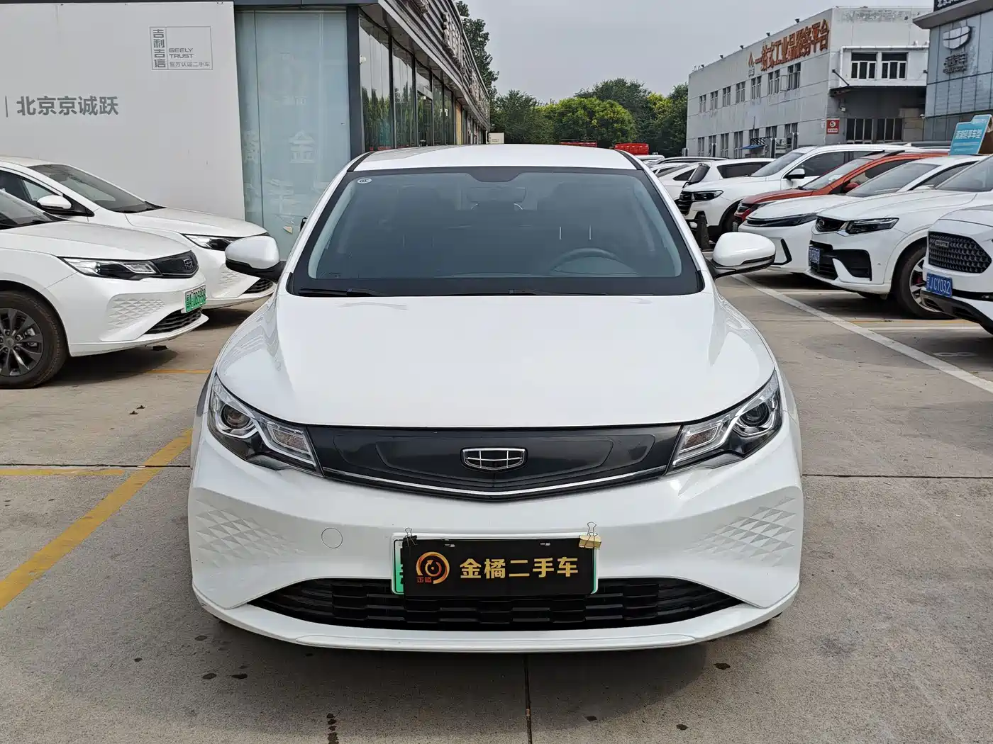 Geely Emgrand New Energy 2023 2022 EV Pro Ride-hailing Version NCM Lithium