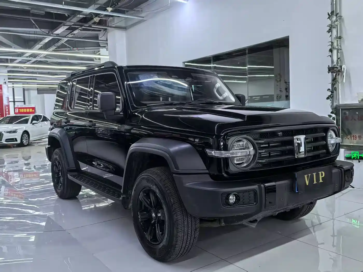 Tank 300 2021 Off-road Version 2.0T Conqueror
