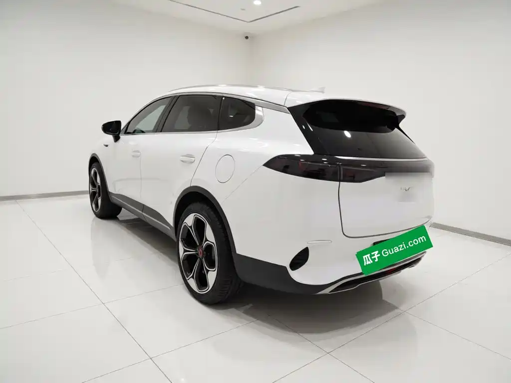 Denza X 2020 2020 Model PHEV Flagship Edition