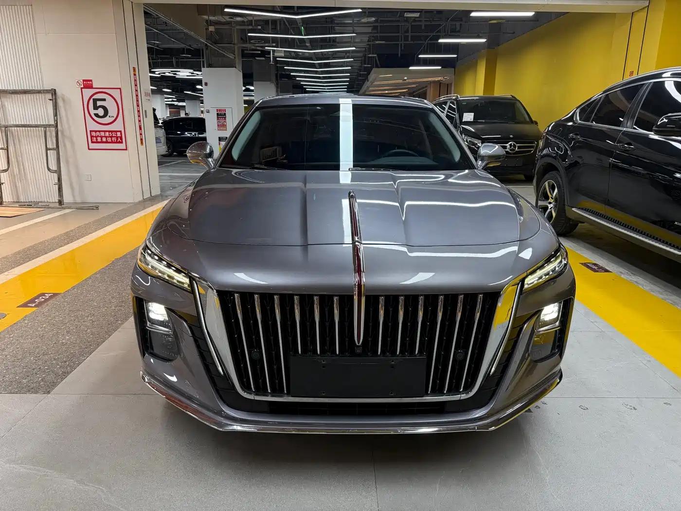 Hongqi H5 2023 2.0T Auto Smart Connect Flag Comfort фото 2