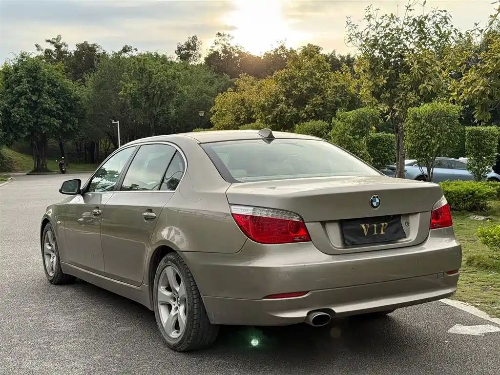 BMW 5 Series 2010 520Li Leading фото 9