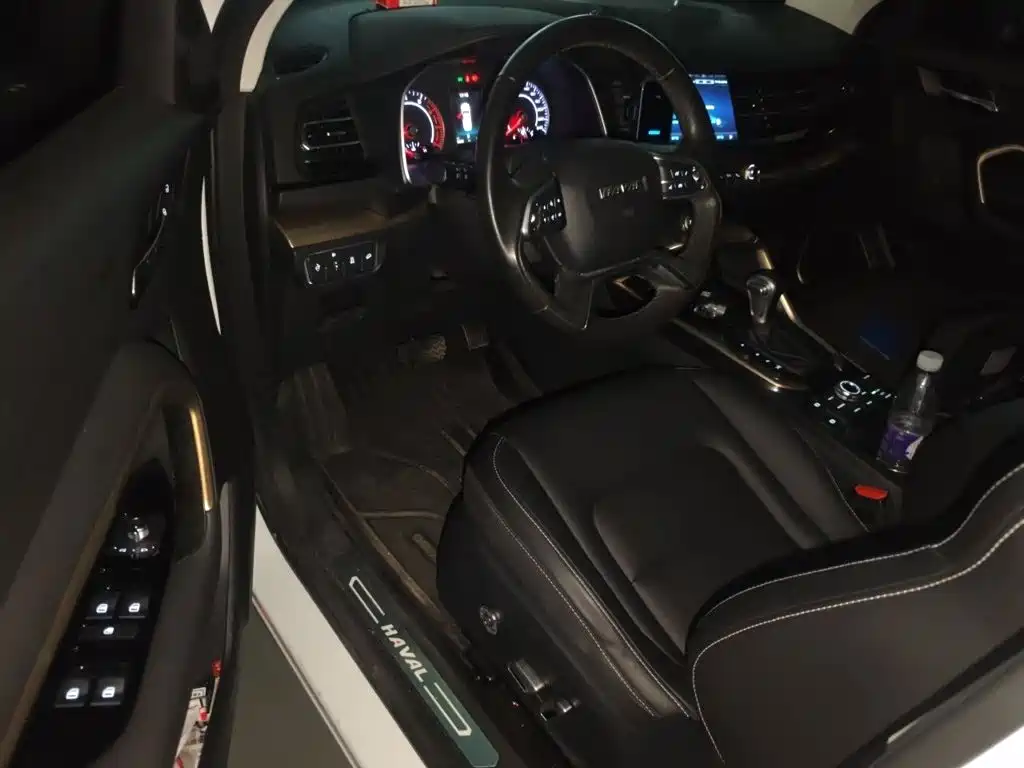 صورة 12 - Haval H6