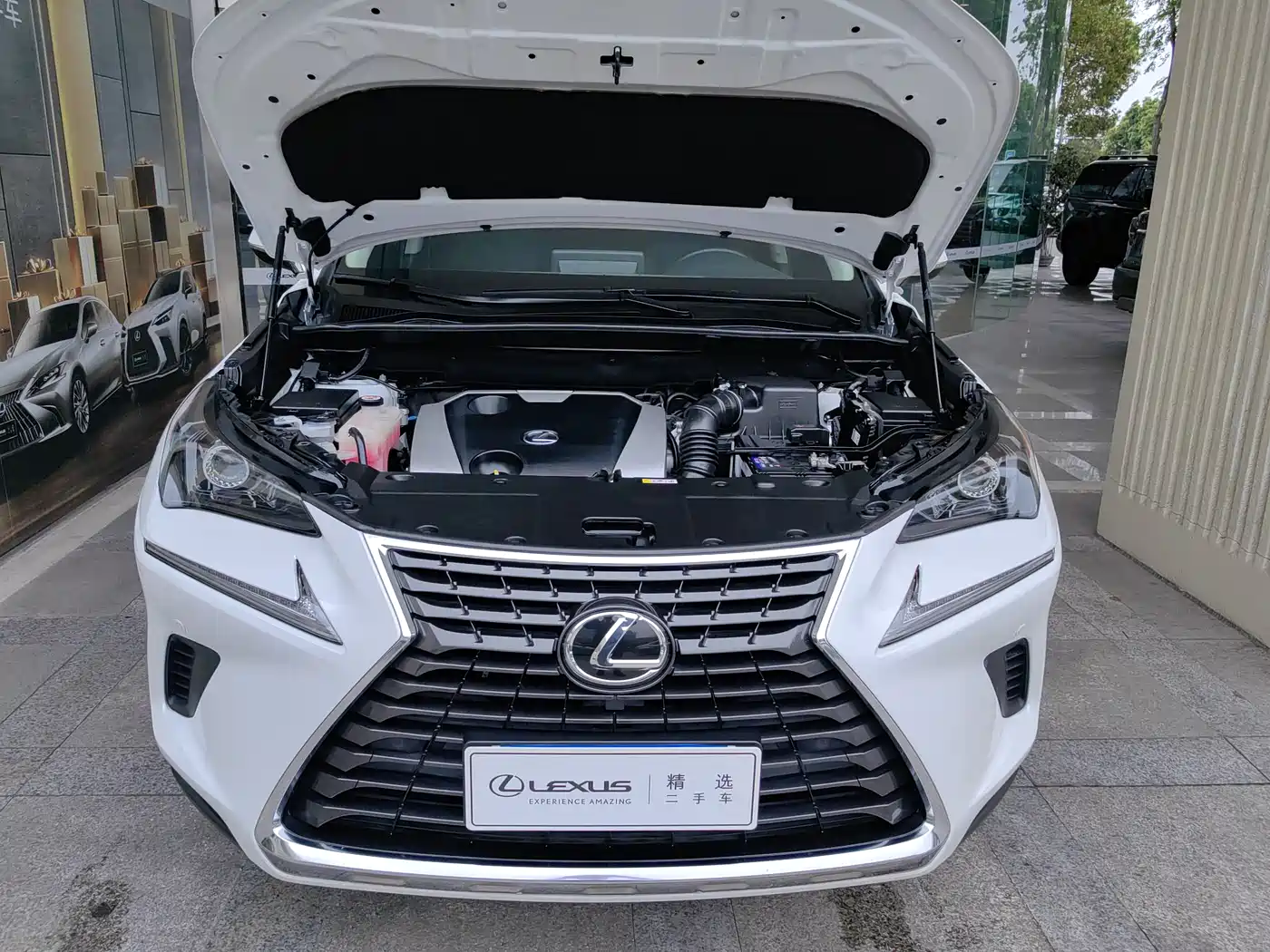 LEXUS NX
