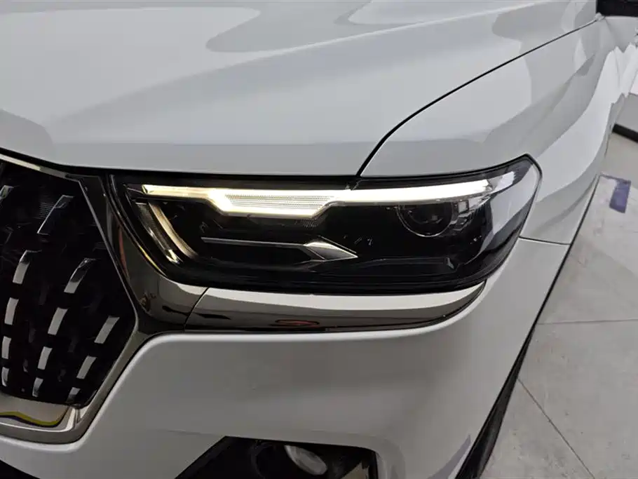 Haval H6 2023 National Trend Edition 1.5T Automatic Urban фото 5
