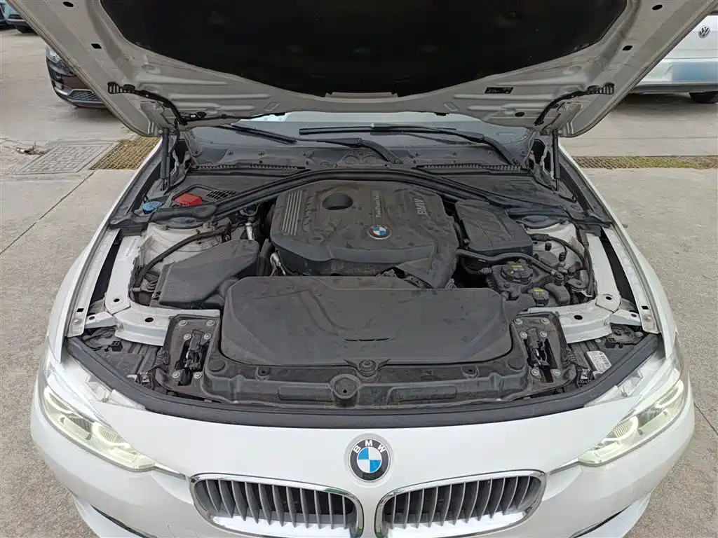 BMW 3 Series 2019 320Li Fashion Type фото 10