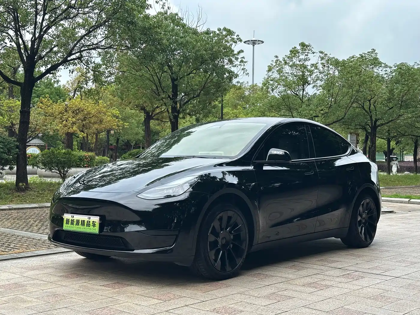 Tesla Model Y 2024 Rear-Wheel Drive Version
