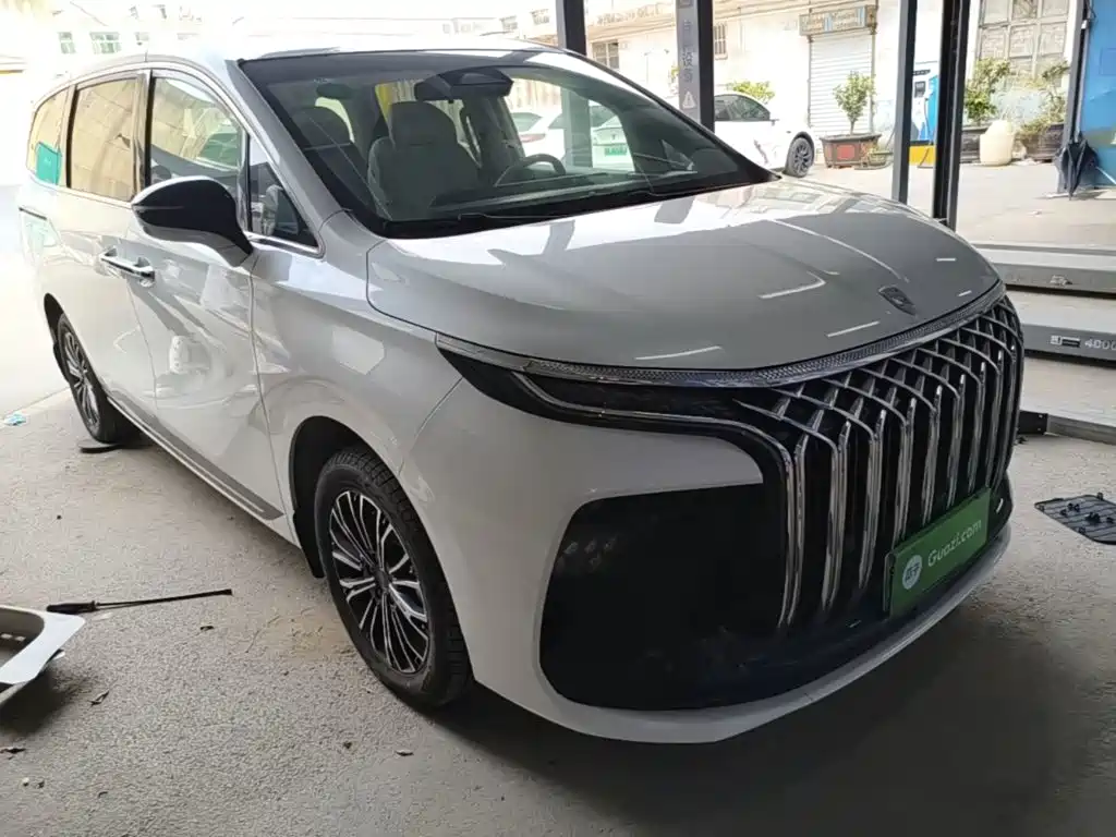 Dongfeng Fengxing Starlight V9 2025 2024 1.5TD 200km Chinese Knot Series Exclusive