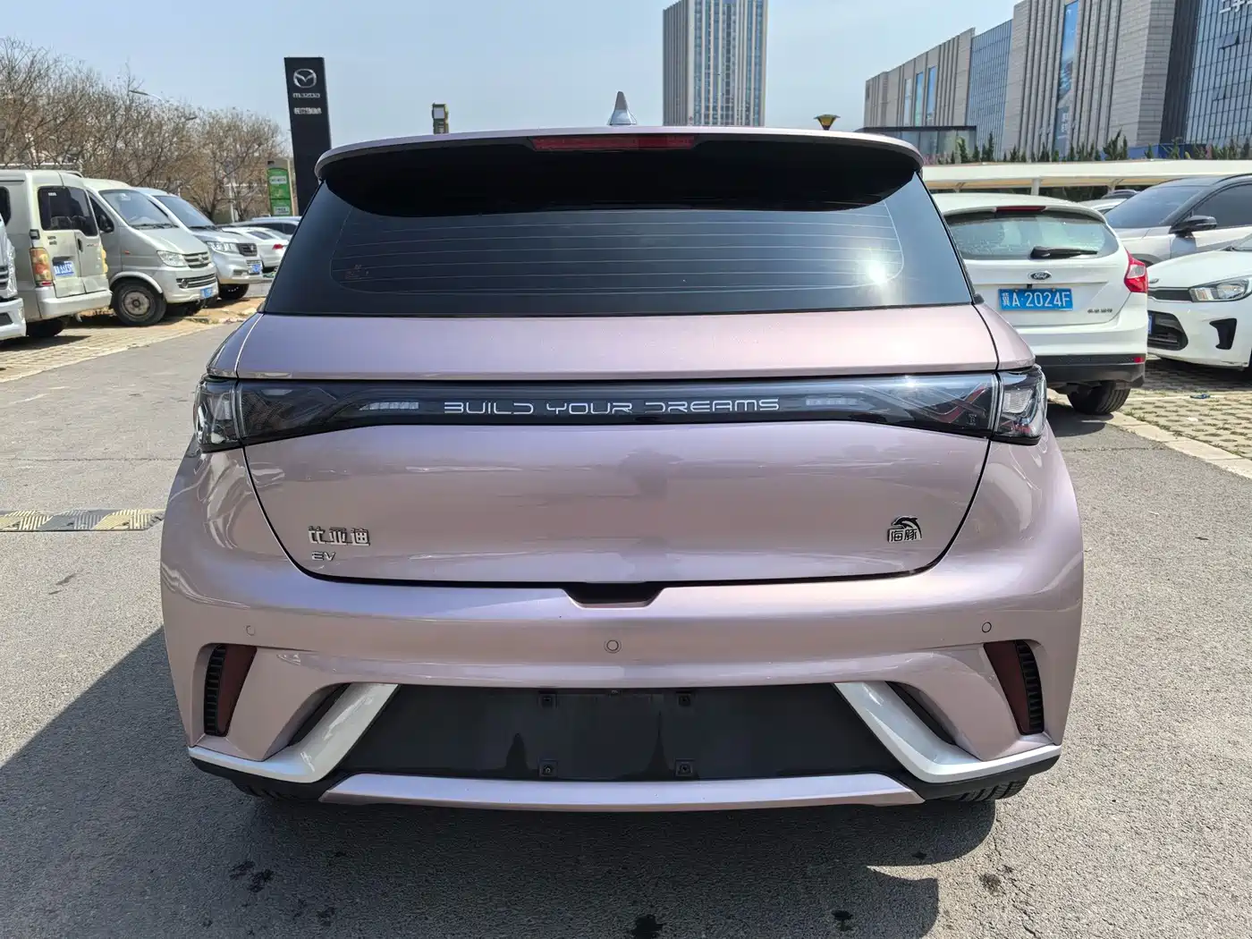 BYD Dolphin 2022 2021 Model 405km Fashion Edition
