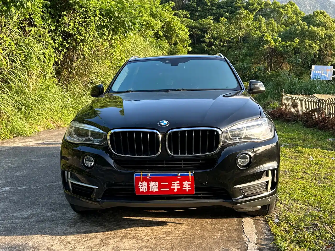 BMW X5 (Import) 2014 xDrive35i Leading фото 10