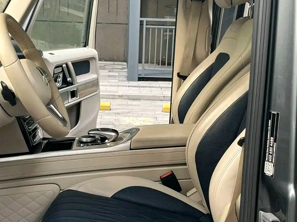 Mercedes-Benz G-Class 2020 G 500 Time Inscription Special Edition фото 10